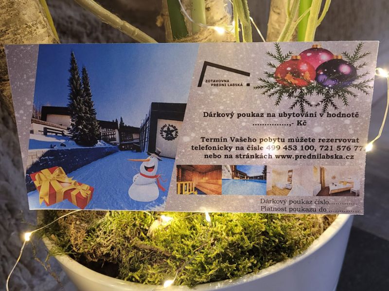 Vánoční výzdoba