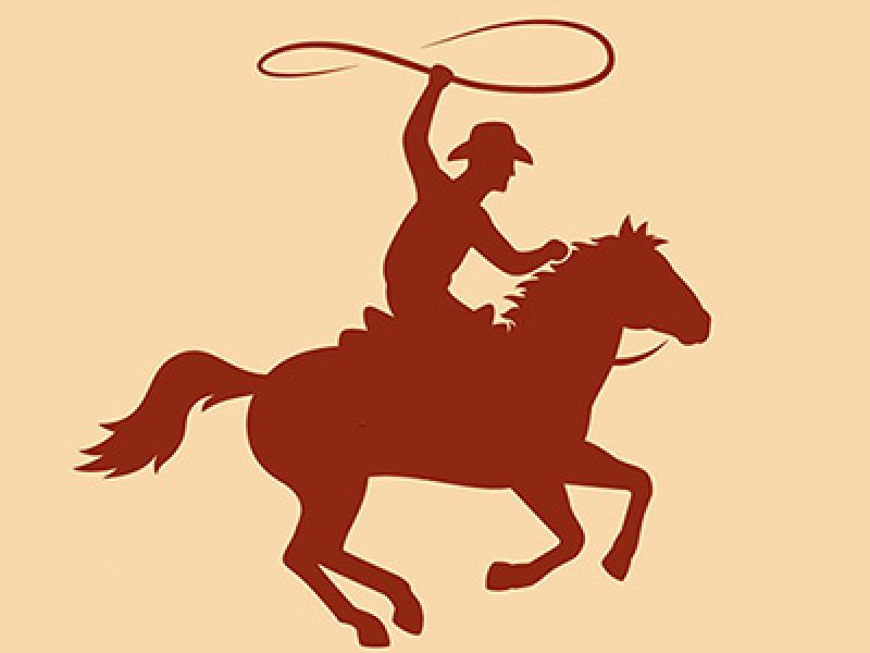 Silvestr