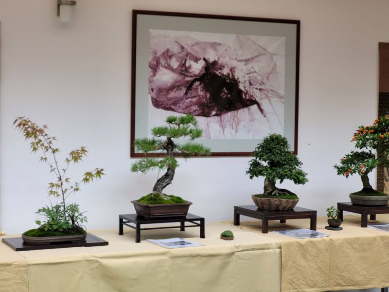 Bonsai škola Koryuu Kai