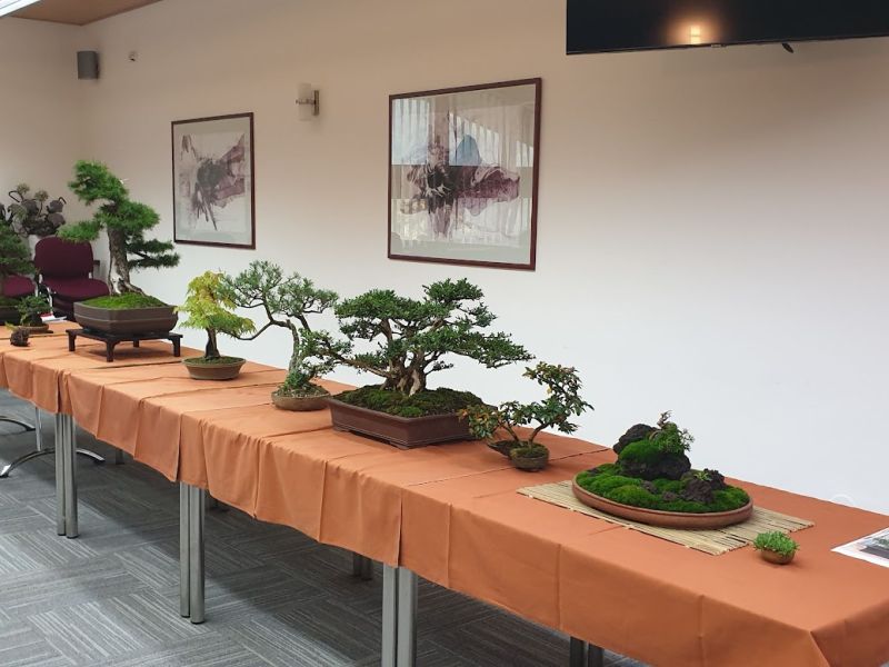 Bonsai škola Koryuu Kai